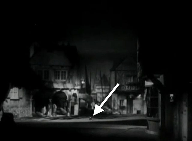 Tomorrow We Live - black and white cat on nighttime street