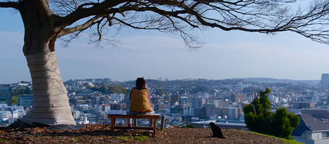 Tora-san - black cat sitting by park bench and Suzuo Hiromitsu Kitayama