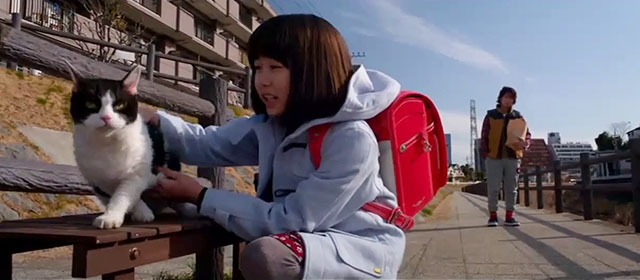 Tora-san - tuxedo cat sitting on bench with Miyu Kokoro Hirasawa and Suzuo Hiromitsu Kitayama