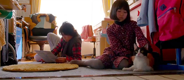 Tora-san - tuxedo cat sitting at home with Miyu Kokoro Hirasawa and Suzuo Hiromitsu Kitayama