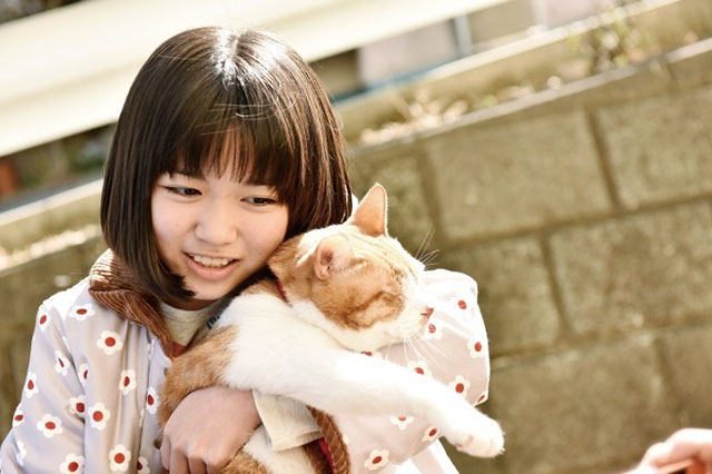 Tora-san - photo of Miyu Kokoro Hirasawa posing with ginger and white tabby cat Kintoki