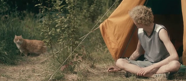 Tore tanzt - Nothing Bad Can Happen - longhair ginger tabby cat outside tent with Julius Feldmeier