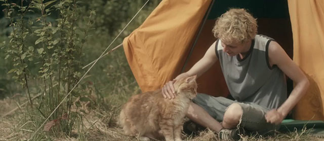 Tore tanzt - Nothing Bad Can Happen - longhair ginger tabby cat outside tent with Julius Feldmeier