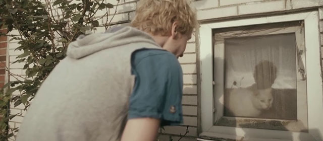 Tore tanzt - Nothing Bad Can Happen - Julius Feldmeier looking through window at white cat