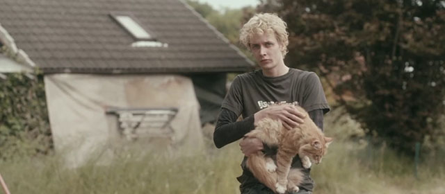 Tore tanzt - Nothing Bad Can Happen - longhair ginger tabby cat held by Julius Feldmeier