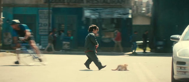 The Toxic Avenger - Winston Peter Dinklage retrieving fake golden British shorthair cat Mr. Treats from middle of street
