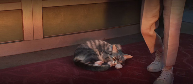 Toy Story 4 - tabby cat Dragon sleeping