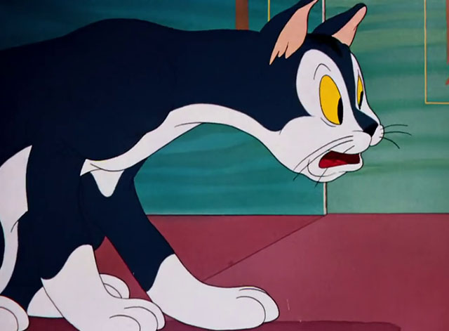 Toy Trouble - cartoon blue and white cat looking surprised