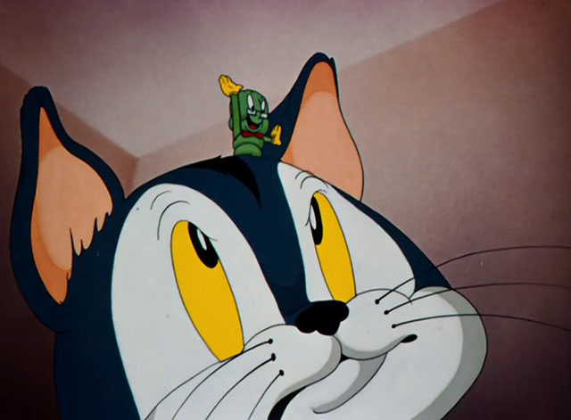 Toy Trouble - cartoon blue and white cat looking up at Bookworm on his head