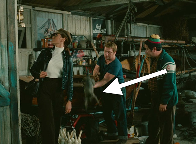 Trafic - grey tabby cat being removed from boat by garage owner Tony Knepper