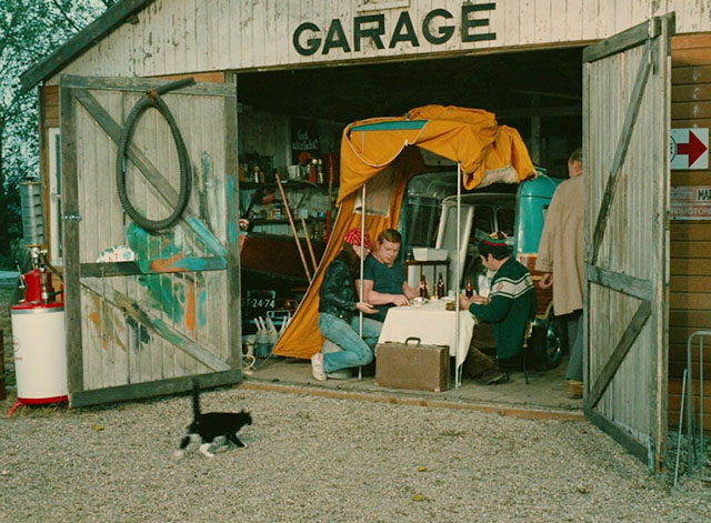 Trafic - tuxedo cat running towards table