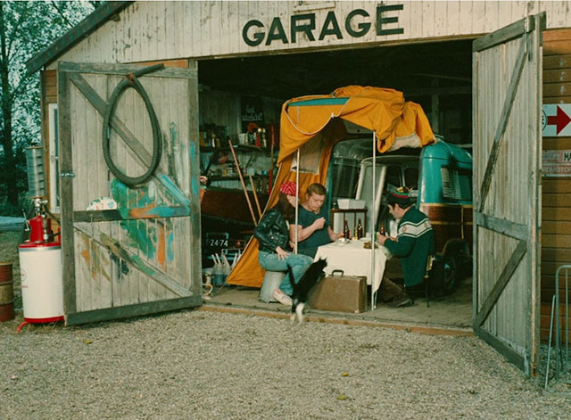 Trafic - tuxedo cat jumping up on table