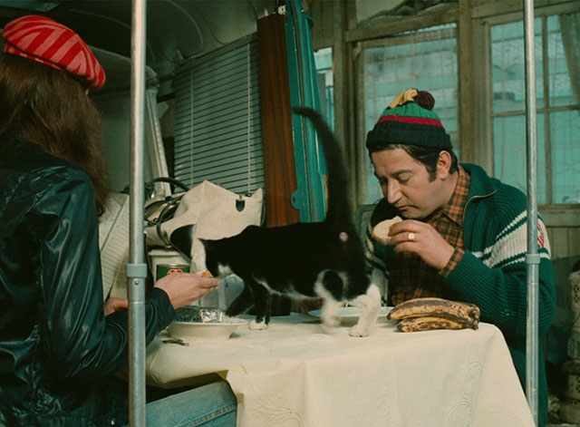 Trafic - tuxedo cat on table in front of Marcel Fraval