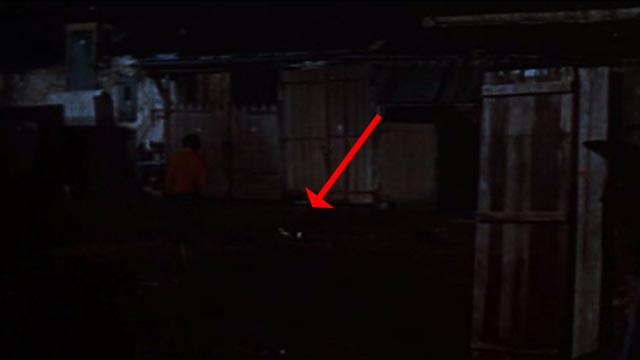 Trapeze - tuxedo cat still running on dark street with Lola Gina Lollobrigida