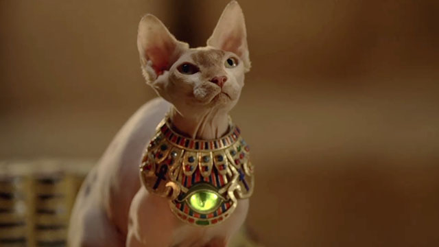 Treasure Buddies - Sphynx cat Ubasti wearing cat's eye necklace