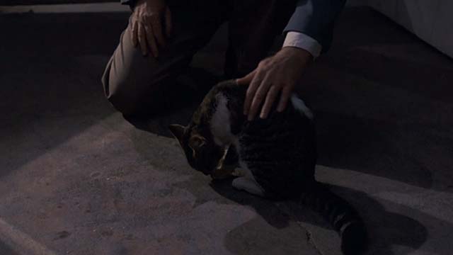 The Trip to Bountiful - Sheriff petting preening tabby and white cat