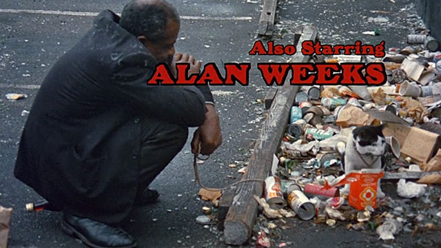 Truck Turner - wino with tuxedo cat on leash under opening credits