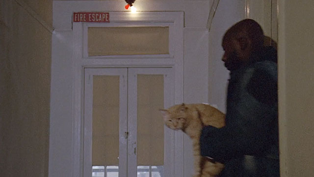 Truck Turner - ginger tabby cat Francis being carried into hallway by Isaac Hayes