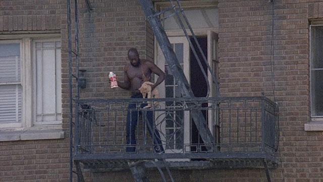 Truck Turner - ginger tabby cat Francis held by Isaac Hayes on fire escape