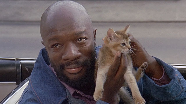 Truck Turner - Isaac Hayes holding up Abysinnian kitten