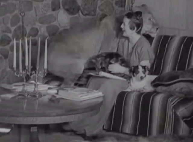 True Tale About a Lion's Tail - Little Tyke lioness on couch with Mrs. Westbeau, longhair tabby cat and terrier