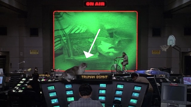 The Truman Show - cat walking along video control panel