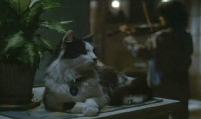 The Truth About Cats and Dogs - Abby's cat sits on table while Abby violins