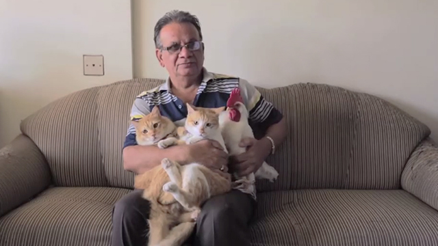 Tungrus - father Nusrat Bharde holding cats Ginger and Garlic and rooster