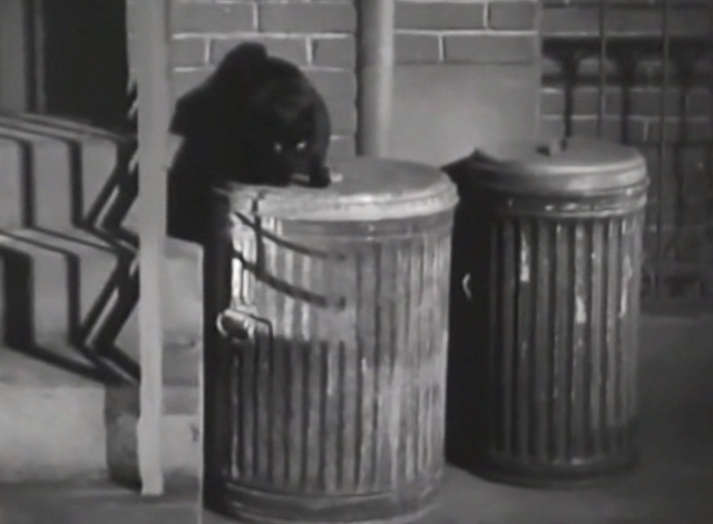 Twelve Crowded Hours - black cat on garbage can lid