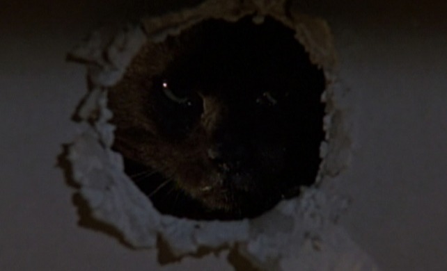 Two Evil Eyes - The Black Cat cat behind wall