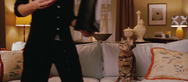 The Ugly Truth - brown tabby cat D'Artagnan on couch