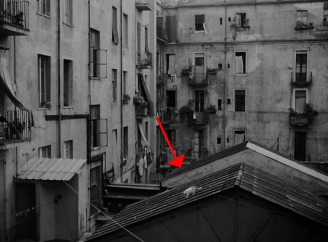 Umberto D - cat walking on nearby rooftop