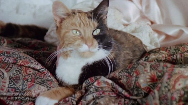 The Uncanny - calico cat lying on bed