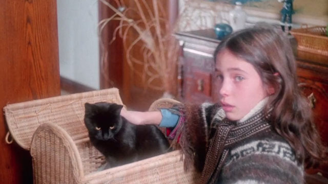 The Uncanny - black cat Wellington in carrier with Lucy Katrina Holden
