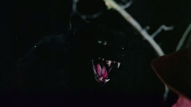 The Uncanny - black cat snarling