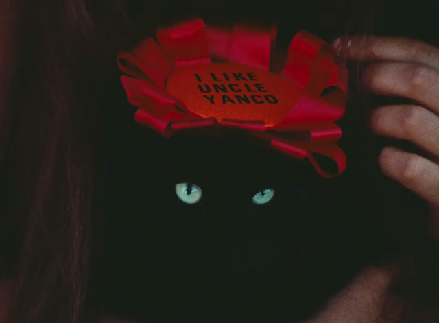 Uncle Yanco - close up of black cat with I Like Uncle Yanco ribbon on head