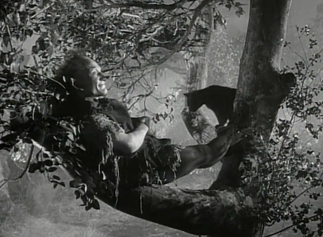 The Undead - black cat Livia in tree with the Imp Billy Barty