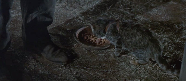 The Undefeated - brown tabby cat High Bred eating beans from plate under chuck wagon