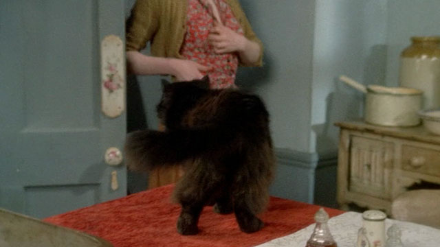 Under Milk Wood - longhair black cat on table