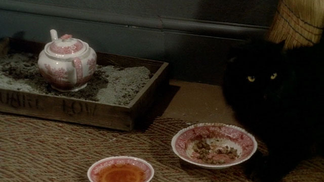 Under Milk Wood - teapot in litter box next to longhair black cat