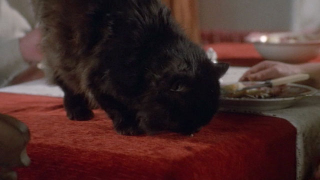 Under Milk Wood - longhair black cat on table