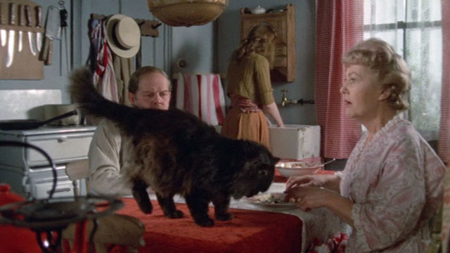 Under Milk Wood - Mr. and Mrs. Beynon Mary Jones and Hubert Reed with Lily Meg Wynn Owen and longhair black cat on table