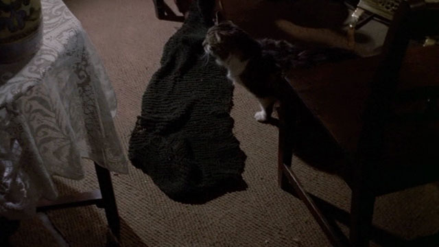 Under Milk Wood - Mrs.  longhair tabby and white cat on floor by knitting