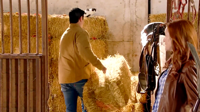 Under the Autumn Moon - Alex Lindy Booth and Josh Wes Brown in stable with white and black cat on bales of hay
