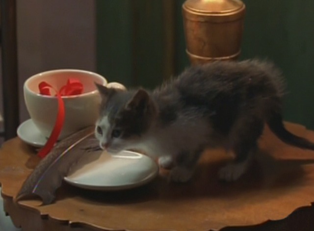 Under the Tuscan Sun