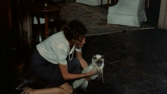 Under the Volcano - Yvonne Jacqueline Bisset picks up Burmese cat Oedipus
