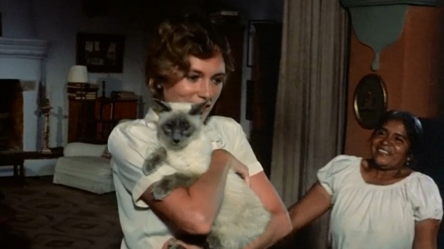 Under the Volcano - Yvonne Jacqueline Bisset holding Burmese cat Oedipus with maid Concepta approaching