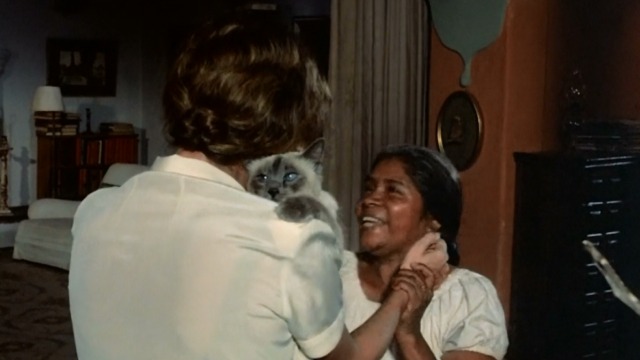 Under the Volcano - Yvonne Jacqueline Bisset holding Burmese cat Oedipus over her shoulder