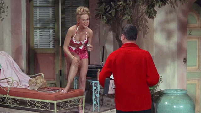 Under the Yum Yum Tree - Hogan Jack Lemmon talking to buxom girl with ginger tabby cat Orangey on lawn chair