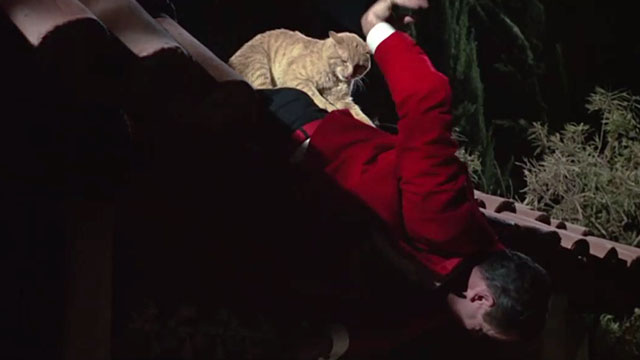 Under the Yum Yum Tree - Hogan Jack Lemmon swiping at ginger tabby cat Orangey on his back on roof